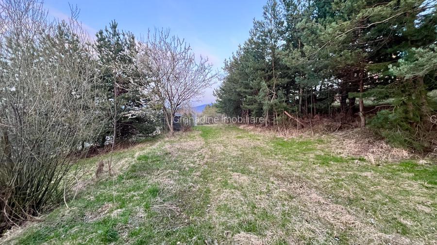 Teren Intravilan 495 mp – Zonă Liniștită - Strada Livezii - 3