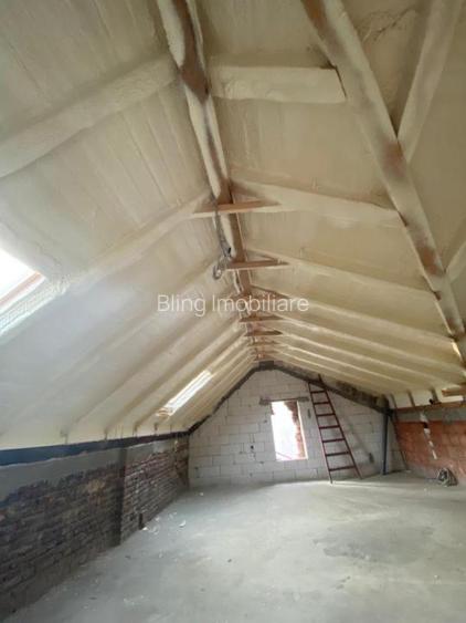 Spatiu Comercial, 258 MP, zona Podul Traian - 12