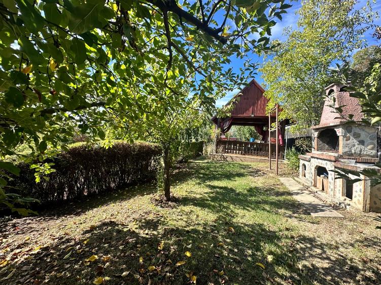 Vanzare vila superbă, P+1+Pod, Albota - 7