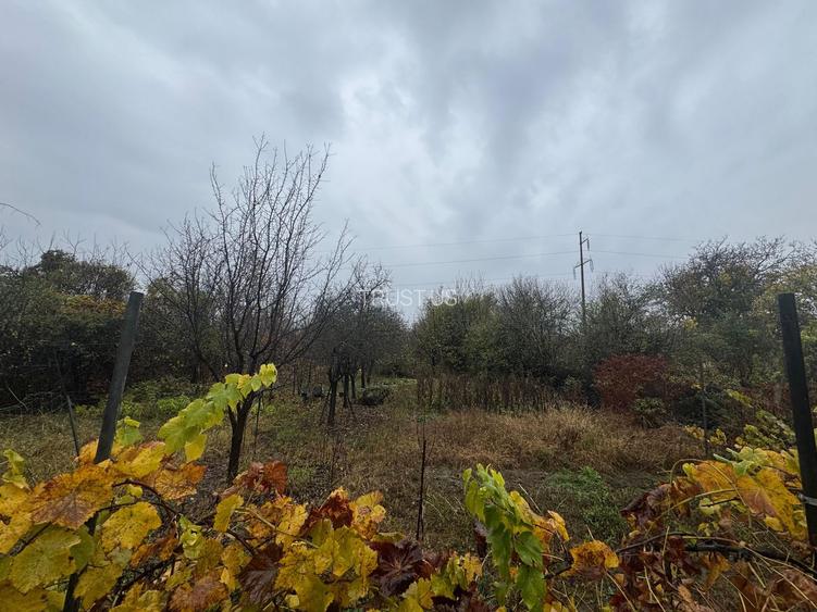 COMISION 0% | 2 Case Individuale | Zona Freidorf | 5 Camere | - 22