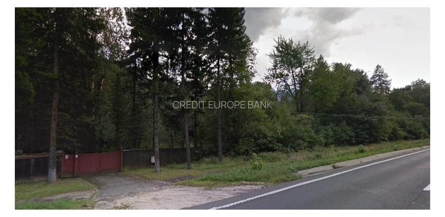 Teren Construcții intravilan de 44000 mp, în Timișu de Jos - 2