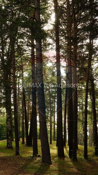 DE VANZARE Pensiune | 12 camere | Bisoca / Buzau - 15