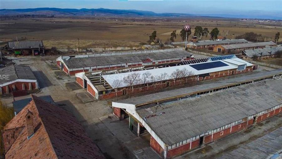 Ansamblu agrozootehnic cu renume,dotat +valoare exceptionala+potential versatil, - 45