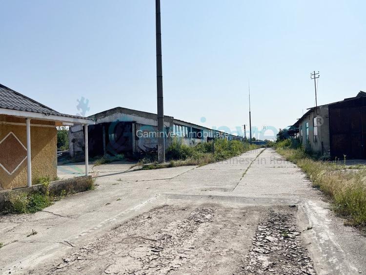 Complex industrial pe 25.659 mp teren, acces drum asfaltat, Bihor  - 4