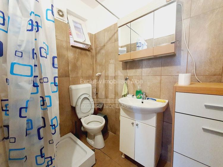 Casa individuala | De inchiriat | 250 mp | 7 camere | Cetate - 8