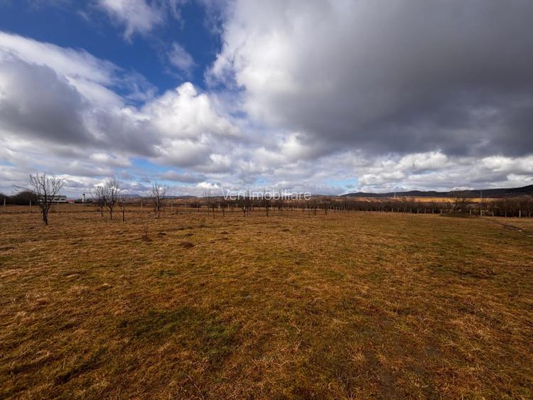 Casa individuala de vanzare – la 15 km de Bistrita - 18