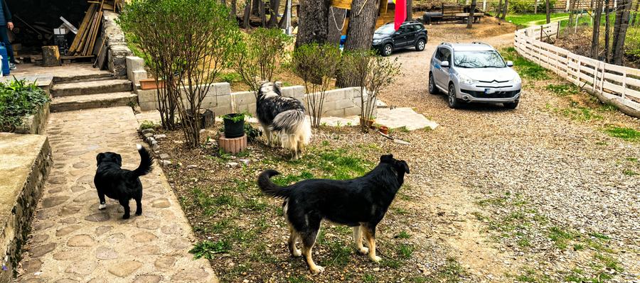 Proprietate Breaza de vis , zona de vis , prezentarea agentului , de vis - 12
