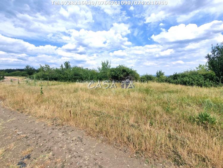 Teren Extravilan (11.464 mp),situat in Targu-Jiu, Str Ciresului - 7