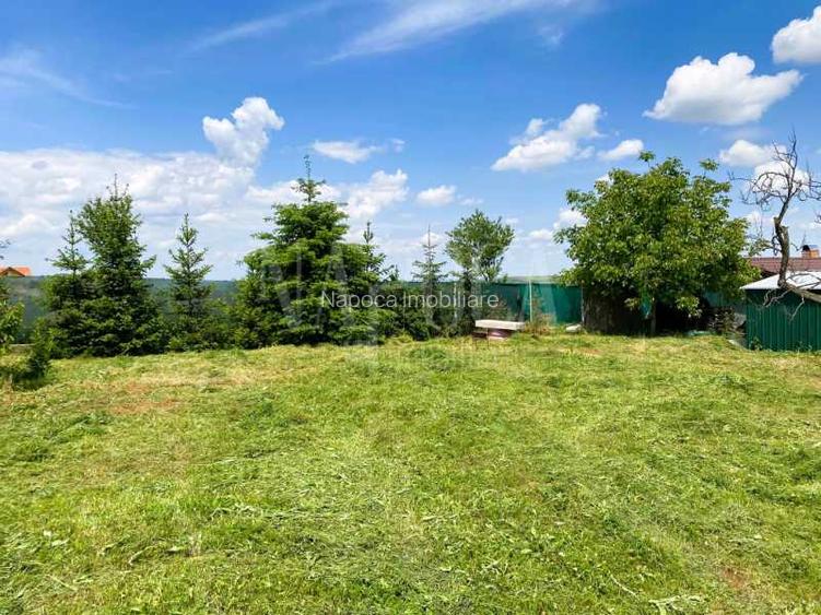Teren intravilan pentru constructii de vanzare in Paleu - 5