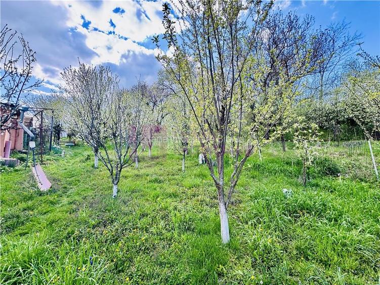 Casa individuala de vanzare in Nucet | Rosia | teren 747 mp | livada, pivnita | - 2