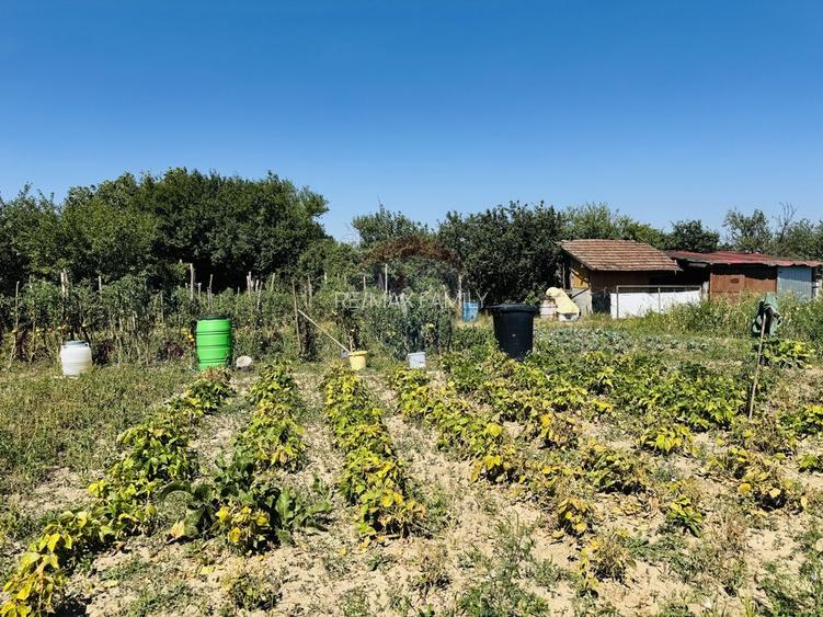 Teren 6,210mp Apateu / Strada Principala - 24