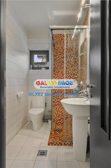 Vanzare vila individuala, curte mare, piscina, Berceni Macului - 16
