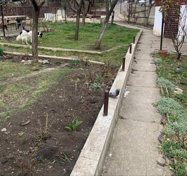 Oportunitate rară! Casă cu teren generos în zona Grand Hotel Italia - 2