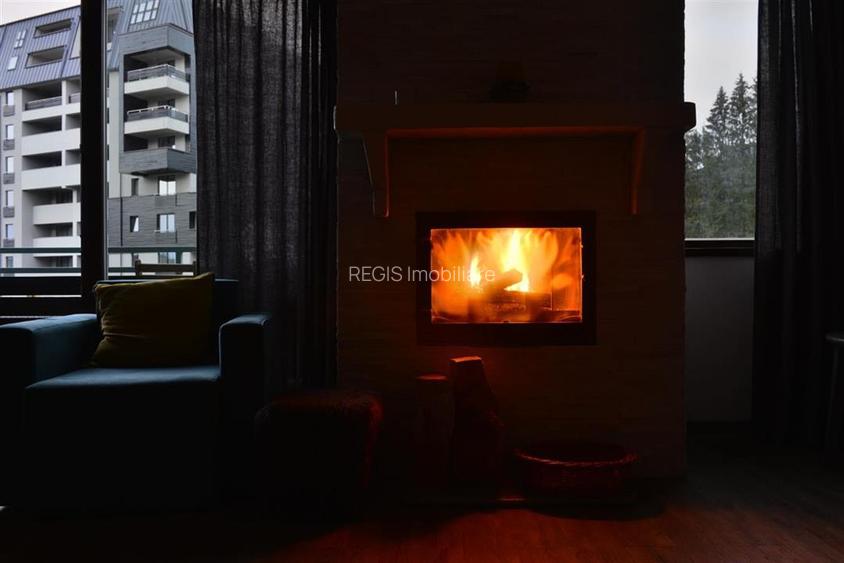 Apartament confortabil 3 cam Silver Mountain - 15