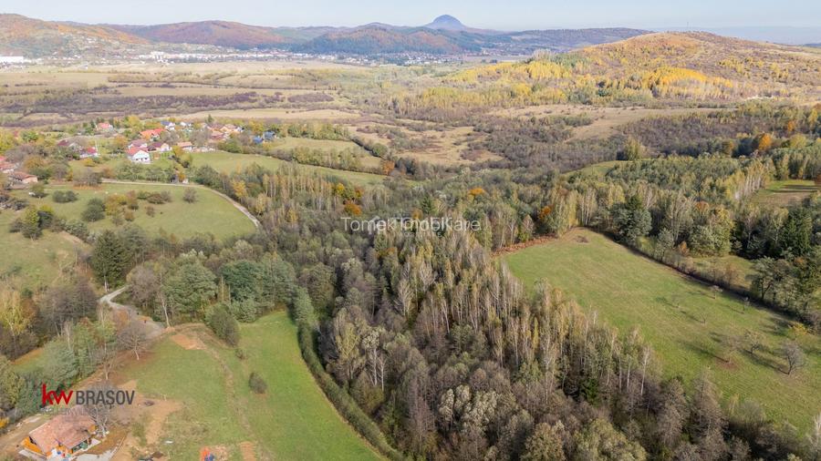 Teren intravilan în Zărnești, zona Tohanita, cu pădurice și parau curg - 7