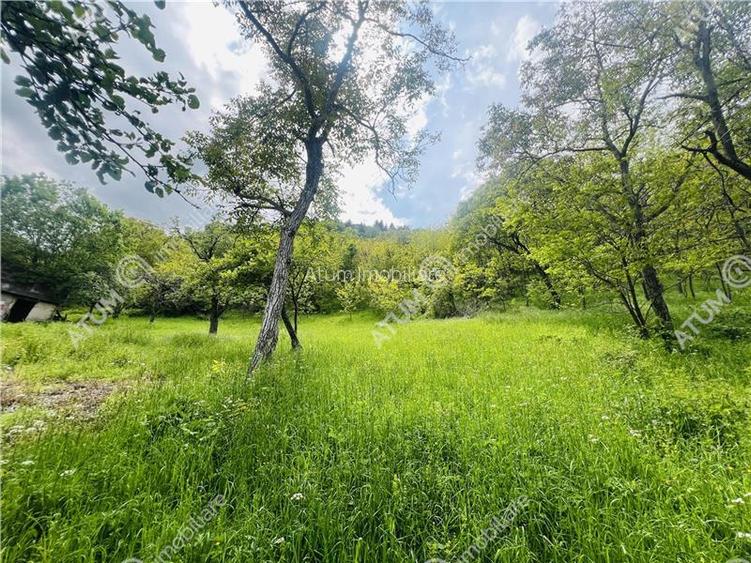 Teren intravilan de 1811 mp situat in Sibiel judetul Sibiu - 8