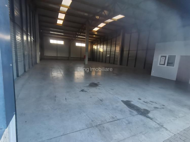 Hala Industriala de inchiriat in Capusu Mare - 5