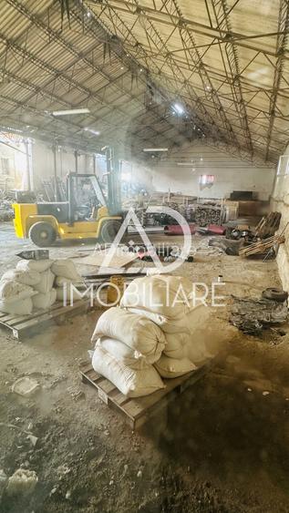 De vanzare Teren + Hale  in Targu Jiu, Bârsești - 7