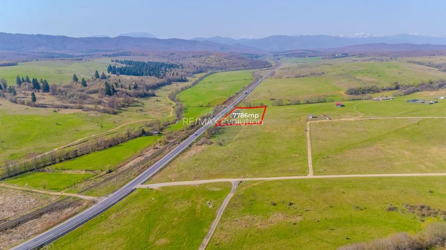 Teren 7786 mp/Curți construcții/Benzinărie - 8