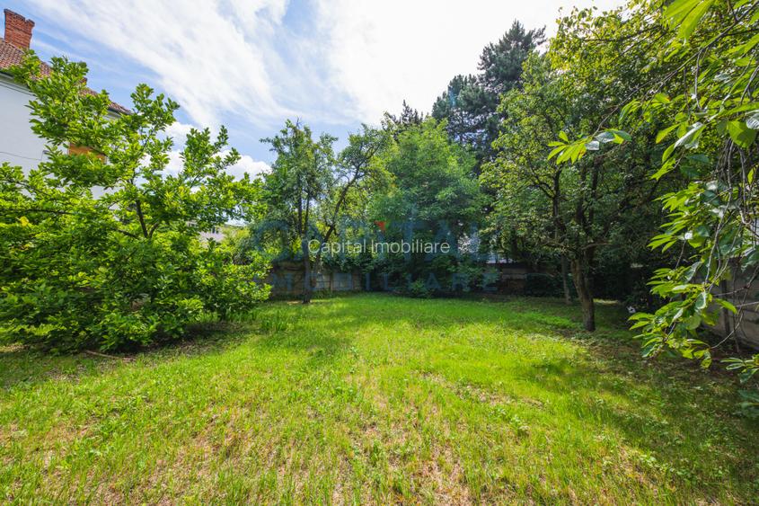 Teren generos si casa deosebita langa Parcul Central – oportunitate rara in Cluj - 7