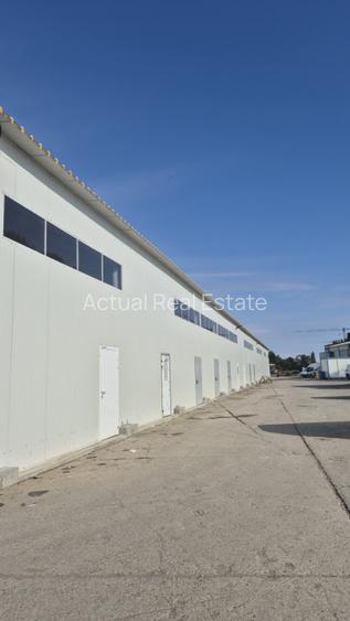 HALA | HALTA TRAIAN | SERVICE | DEPOZITARE - 4