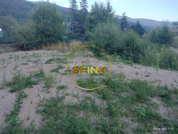 Teren intravilan 15.000 mp Busteni - 4