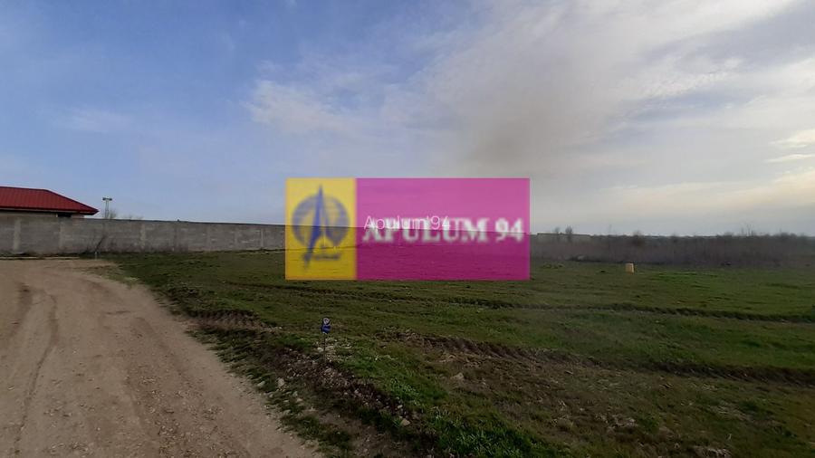 Parcelă lângă pădure în Ilfov - 5