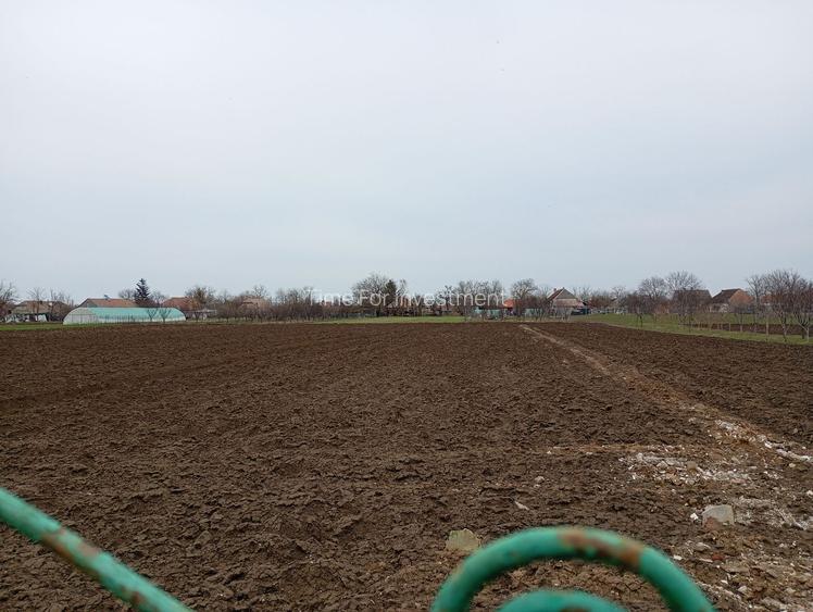 Casa Individuala Suprafete Generoase, Teren Mare, La Rosu - 6