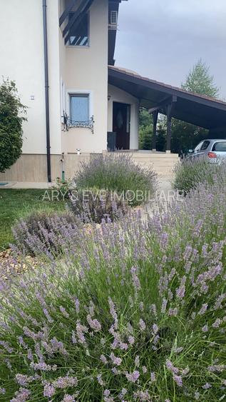 Vanzare casa Paradisul Verde Corbeanca - 15