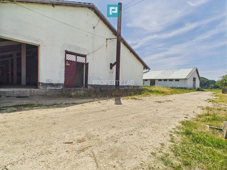 Hale 1800 mp fiecare – acces autostradă, Teiu, HD - 20