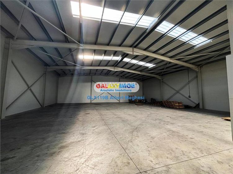 Inchiriere hala depozitare Parc Industrial TBM Rudeni - 5