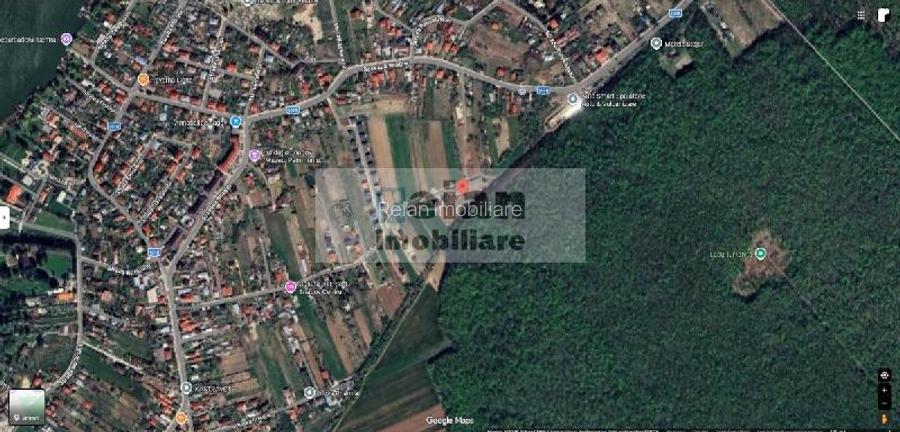 Snagov Crizantemelor Teren 3200mp, d 72ml, gaz, curent, asfalt, padure - 12