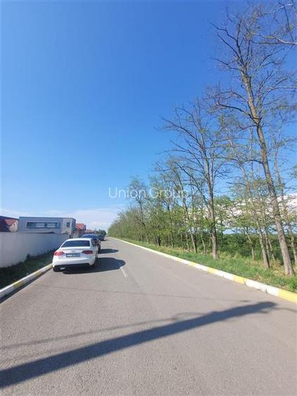 Teren Intravilan Valu lui Traian, 3 Loturi a cate 311 mp - 4