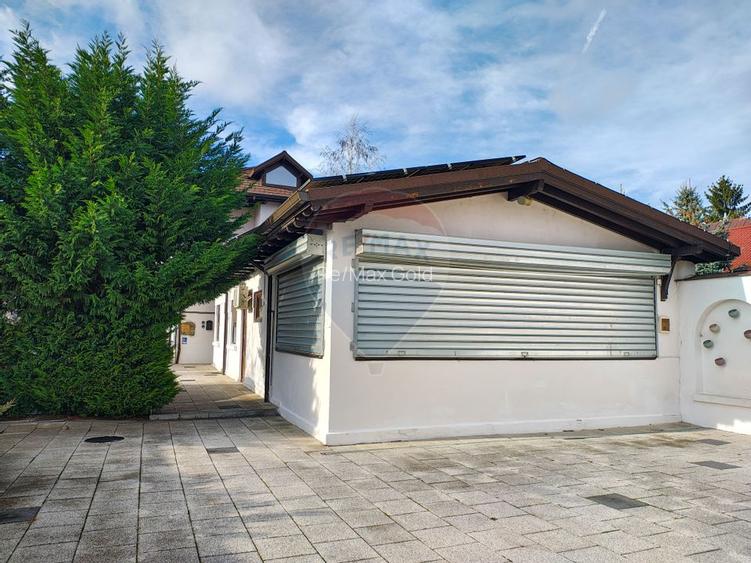 Două vile de patrimoniu, restaurate integral - 32