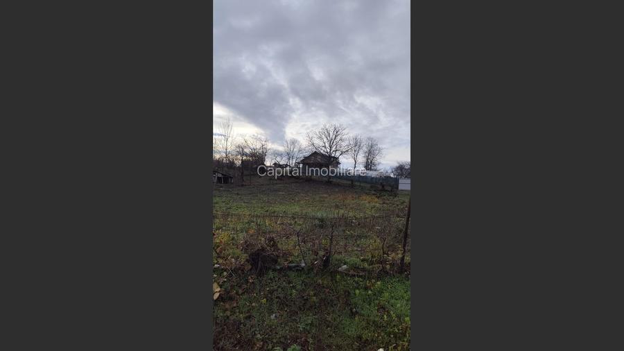 Teren Intravilan Baicoi 1061 mp - 4