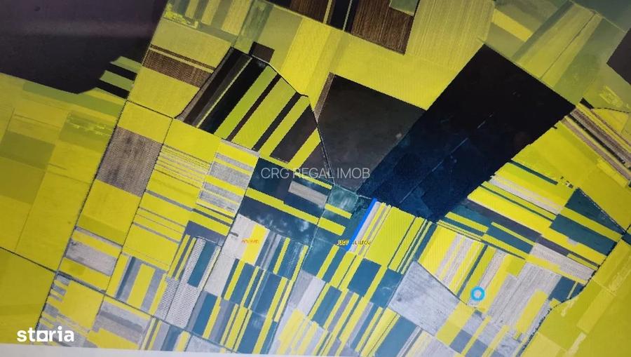 De Vanzare Teren 10.000mp Extravilan Investitie Afumati Ilfov acces facil - 2