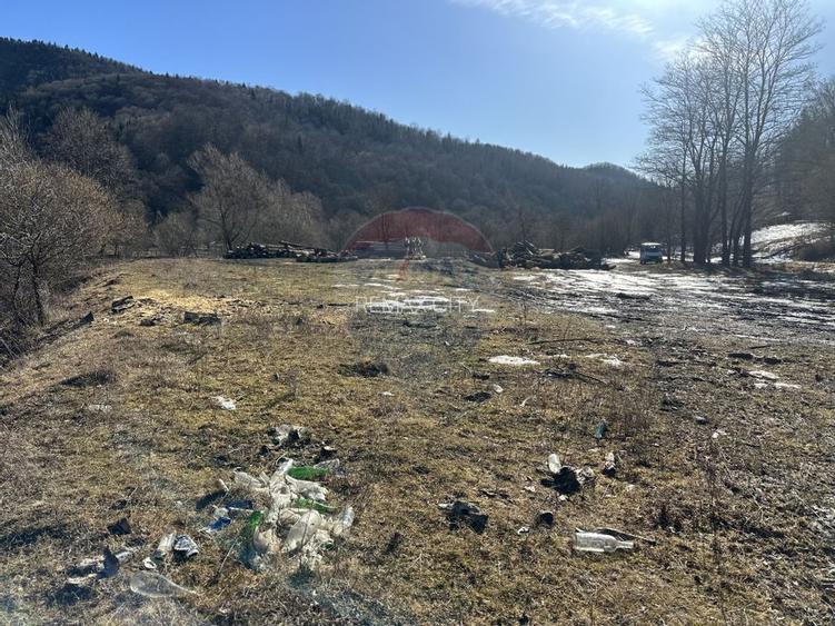 Teren 1,340mp Cuejdiu / Strada Cuejdiului - 2