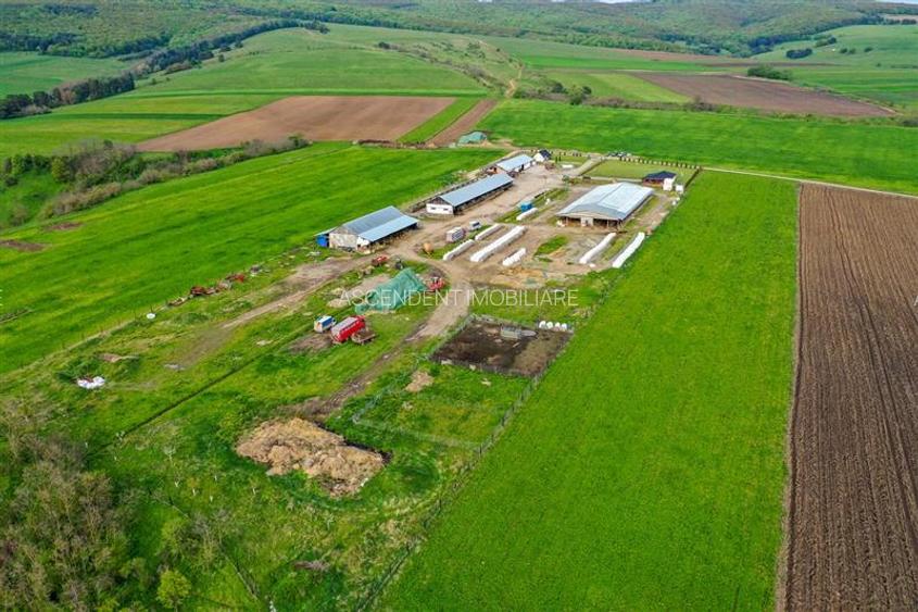 Ferma+Anexe specifice+ Constructie rezidentiala+222.000 mp domeniu - 51