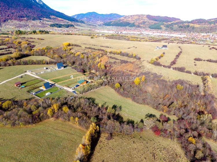 Teren intravilan 2500mp Tohanita Zarnesti- ideal casa de vacanta - 2