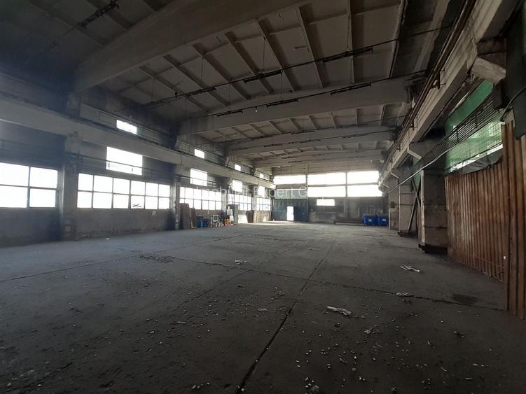 Hala 430 mp in zona Fizicienilor + platforme betonate sau birouri - 2