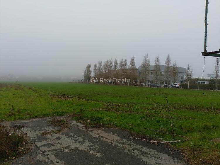 Lumina  teren 10000 mp - 3