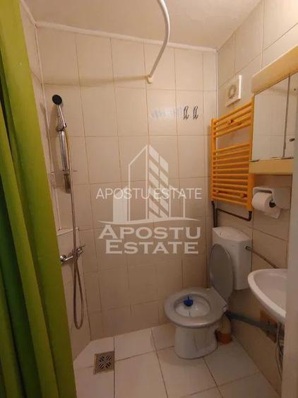 Apartament cu 1 camera, Timisoara, zona Take Ionescu - 6