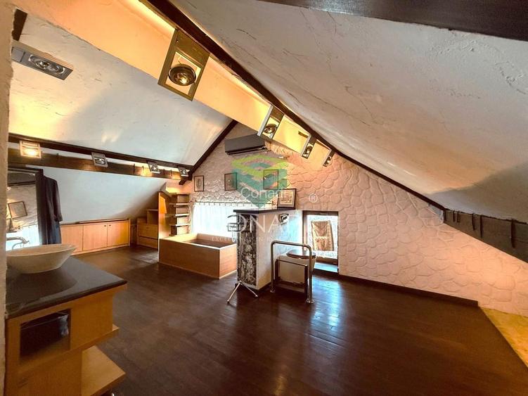 Zona Iancu Nicolae, vila de vanzare, 382 mp construiti - 5