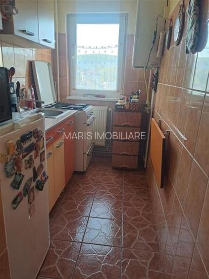 Tudor - Dacia apartament 2 camere mobilat + garaj - 5