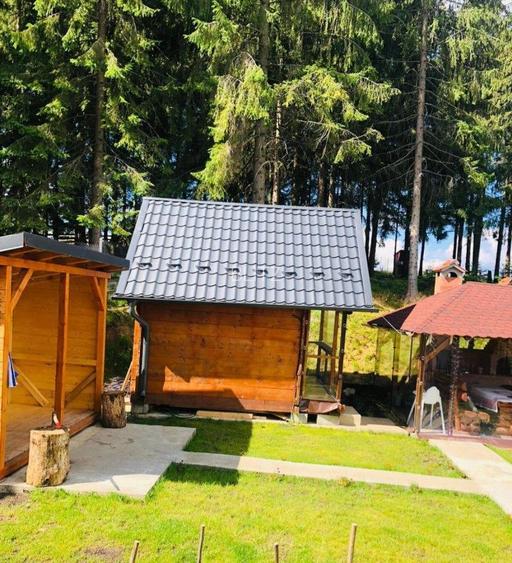 Casa de vacanta, 4 camere, 119 mp utili, 2300 mp de teren, Marisel - 3