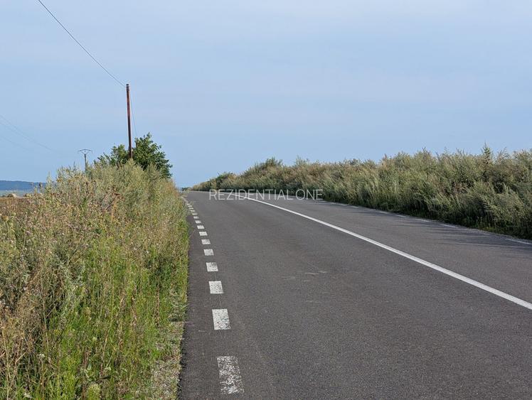 Sărata- lângă Mun. Bacău- 4000 mp- oportunitate investiție - 8