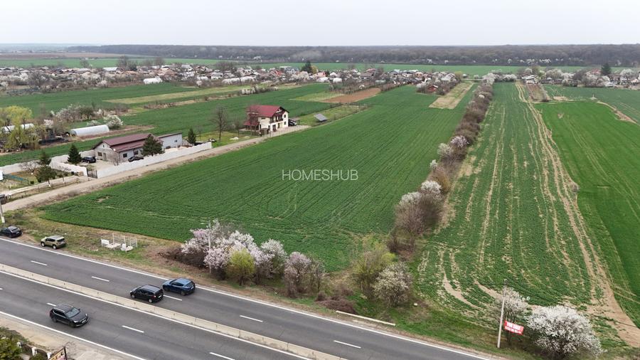 0% | Teren intravilan, 4563 mp, front 25 m, utilitati | Potigrafu PH - 4