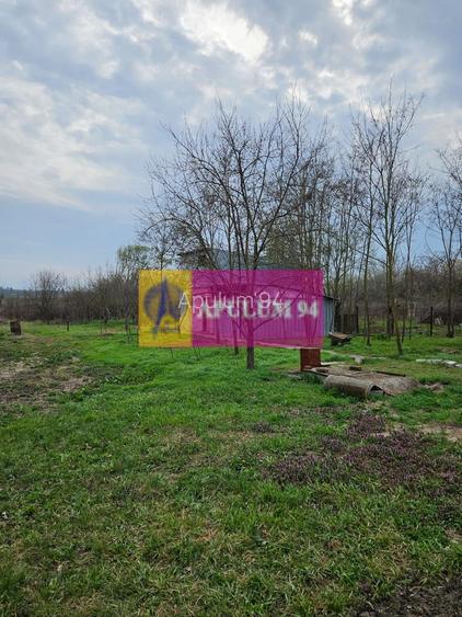 GIURGIU - COM. BUCSANI (SAT OBEDENI) CASA 2 CAM DE VANZARE - 23