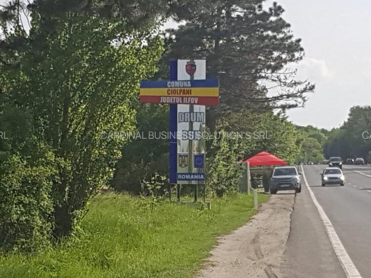 Ciolpani, zona Cimitir Britanic, stradal - 6