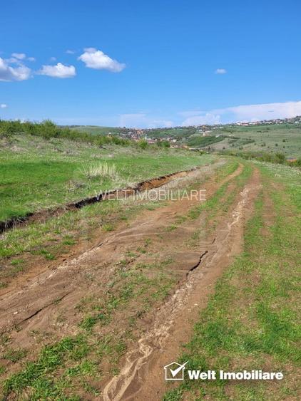 Teren extravilan 2000 mp, împrejmuit, panoramă superbă – Sălicea (Cluj) - 4